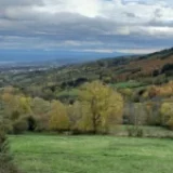 Assemblée générale du GSMP,       le samedi 21 février,          salle Denise EPARVIER         à PELUSSIN, à partir de 14h.