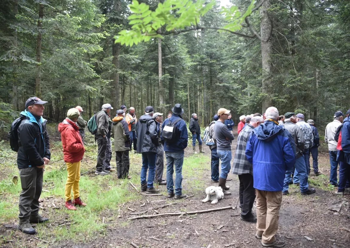 Présentation de la sylviculture appliquée