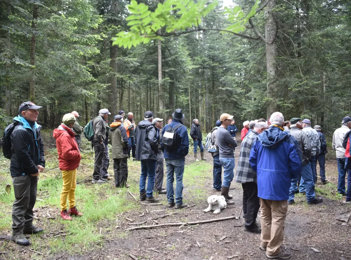 Présentation de la sylviculture appliquée
