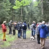 Les journées forestières organisées par le CNPF et le GSMP en mai et juin 2026